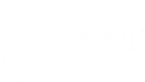 DJS Firearms LLC logo | DJS Firearms, New Milford CT